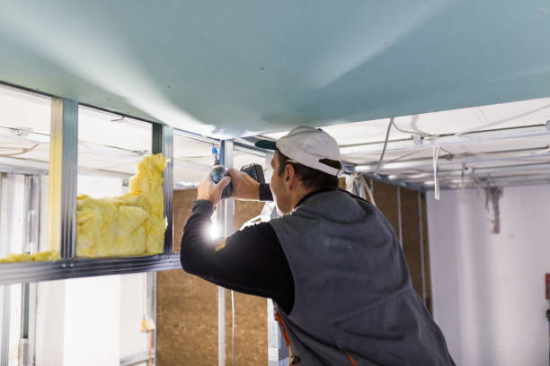 Best Energy Efficiency Solutions in Waterloo, IL