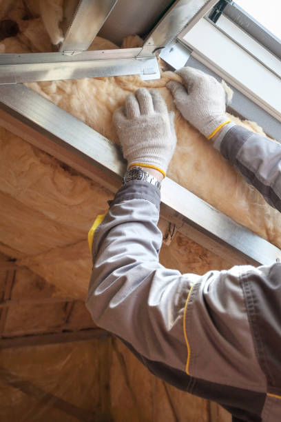 Best Residential Insulation in Waterloo, IL