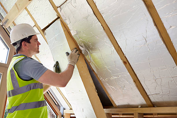 Best Insulation Installation Services in Waterloo, IL